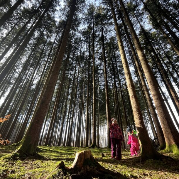 Two children in colorful winter clothes stand among tall, straight pine trees in a dense forest, with sunlight streaming through the branches representing a family living on a frugal budget.